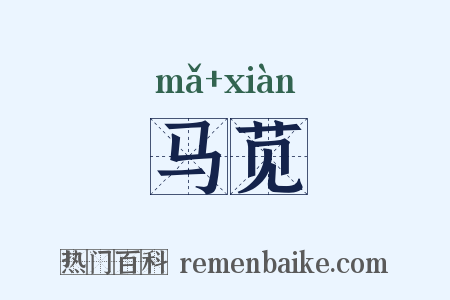 马苋是什么意思的图片